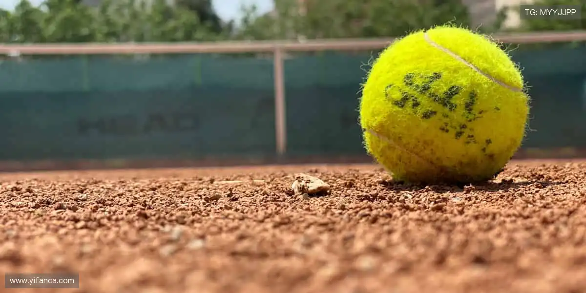 💻实时互动,弹幕与呐喊同频共振!📸